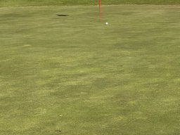 239-13-01-2026 IMG_3435